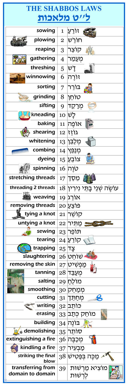 Shabbat In Numbers | Torah And Science