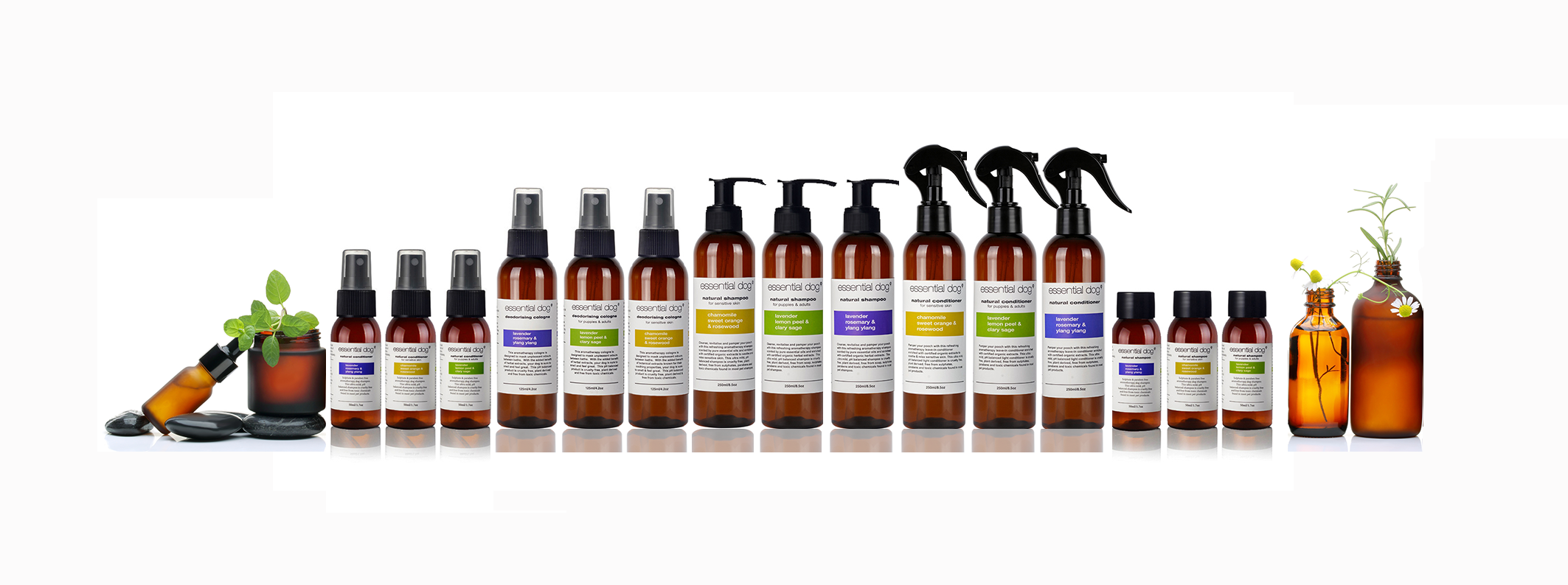 Essential Dog Natural Dog Shampoo