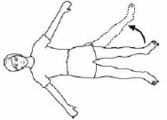Image result for leg abduction in supine exercise