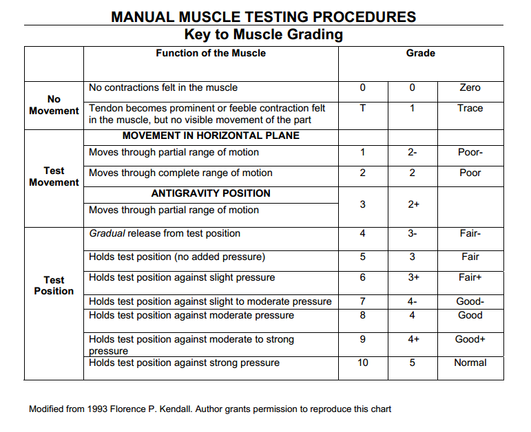 Manual Muscle Testing Grading And Procedures Prohealthcareproducts