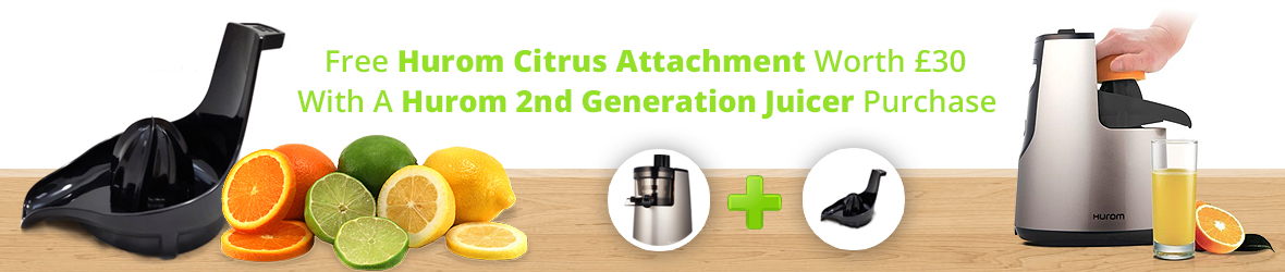 Hurom HH 11 2nd Generation Elite Slow Juicer in Silver - Juicers
