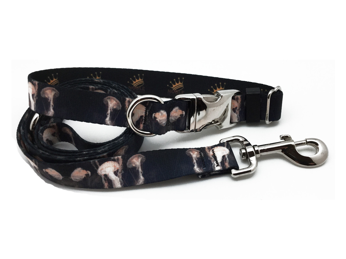 Where Can I Buy A Calming Collar For My Cat Where Can I Buy A Calming Collar For My Cat