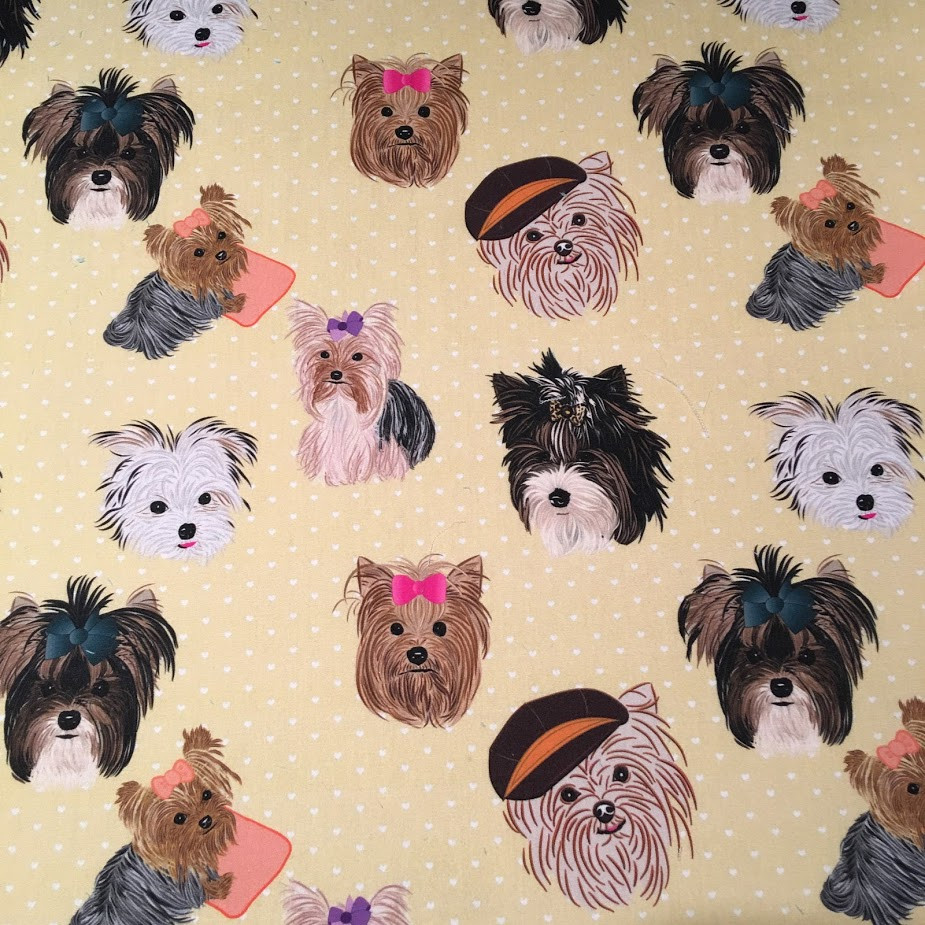 Limited Run - Biewer, Yorkie & Parti Yorkie - Noble Pet Company