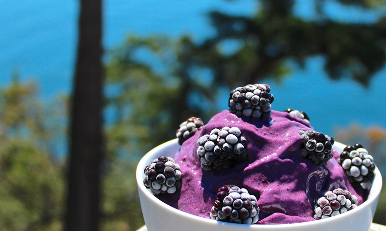Ergogenics Blackberry Nice Cream