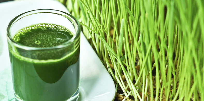 The Superfood Grass: Wheatgrass