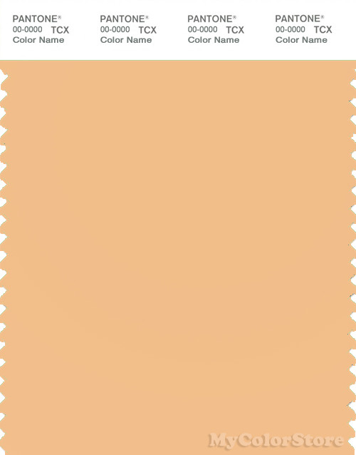PANTONE SMART 13 1027 TCX Color Swatch Card  Pantone Apricot Cream