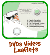 dvds-and-leaflets-new.png dvds-and-leaflets-new.png