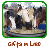 gifts-in-lieu-logo.png gifts-in-lieu-logo.png