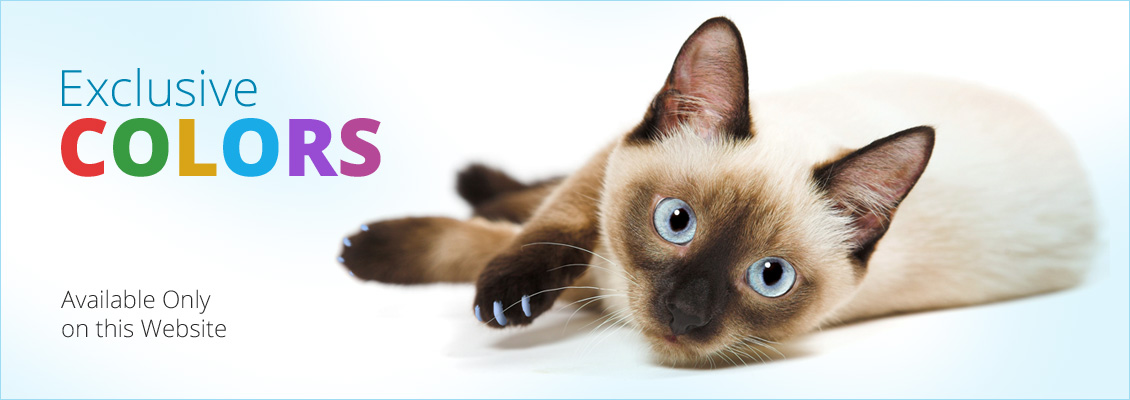 Pets At Home Dog Collars Pets At Home Dog Collars