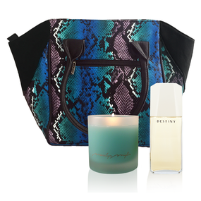 destiny holiday gift destiny holiday gift