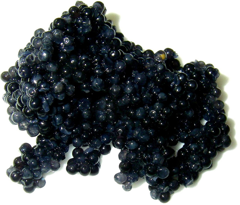 Caviar Star Fact Check #2: Caviar Fun Facts