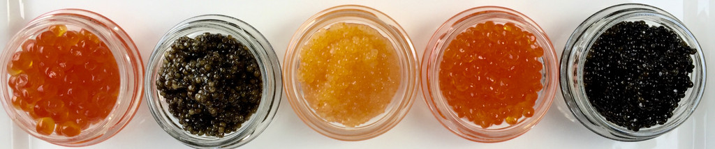 SUSTAINABLE CAVIAR