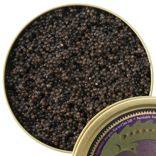 Florida Siberian Caviar