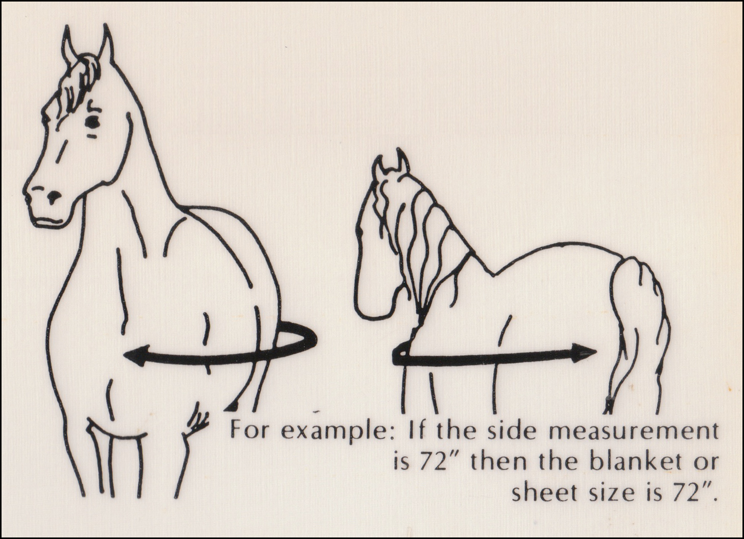 How to Fit A Blanket Size & Measurement