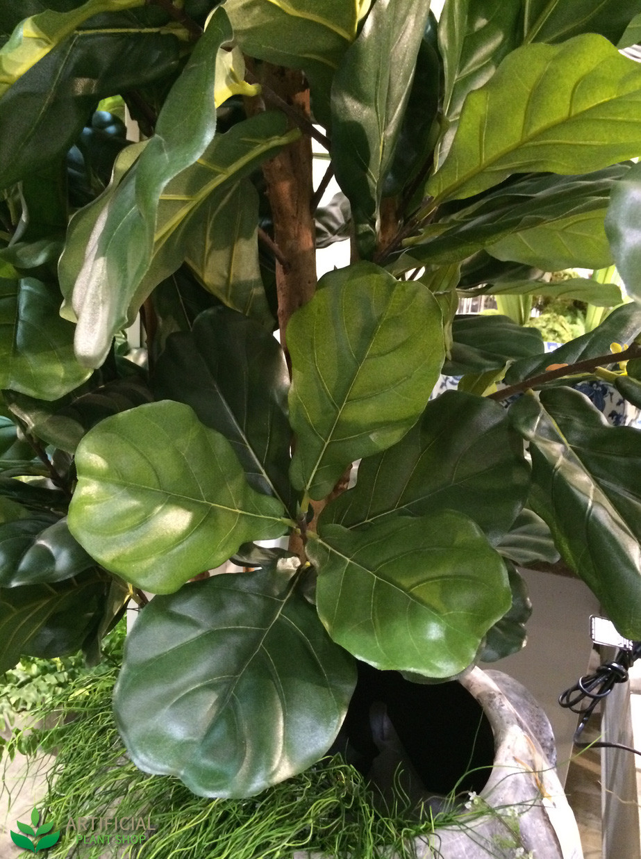 Artificial Fiddle Leaf Tree 2m Artificial Fiddle Leaf Tree 2m - Fiddle Leaf Tree 2m