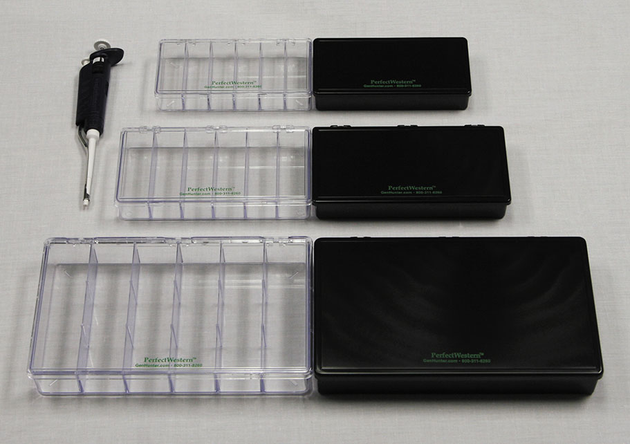 western blot boxes