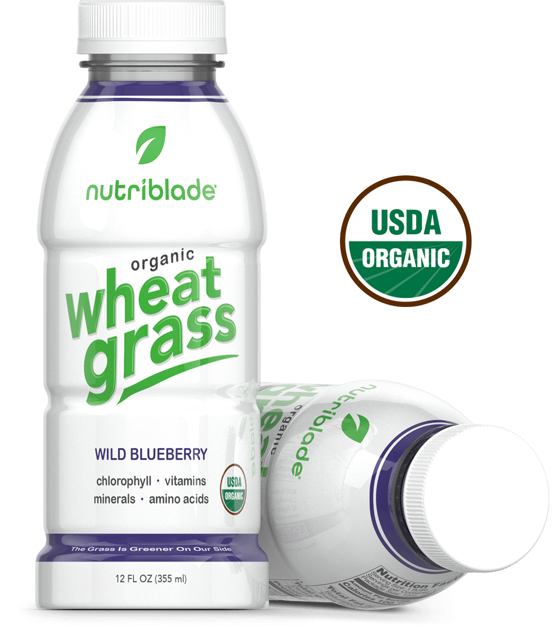 Wild Blueberry wild-blueberry.png
