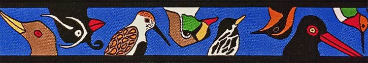alaskachattercobalt.jpg alaskachattercobalt.jpg