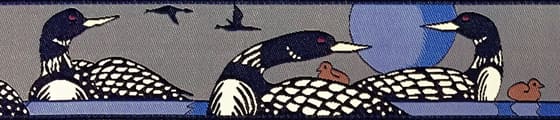 loons-grey-.jpg loons-grey-.jpg