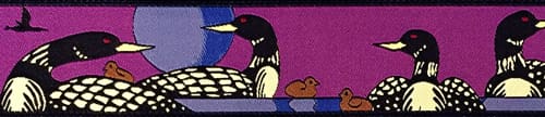 loons-plum.jpg loons-plum.jpg