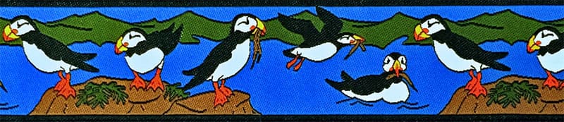 puffin.jpg puffin.jpg
