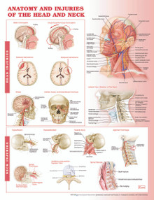 Rabbit Dissection Reference Guide - Biologyproducts.com