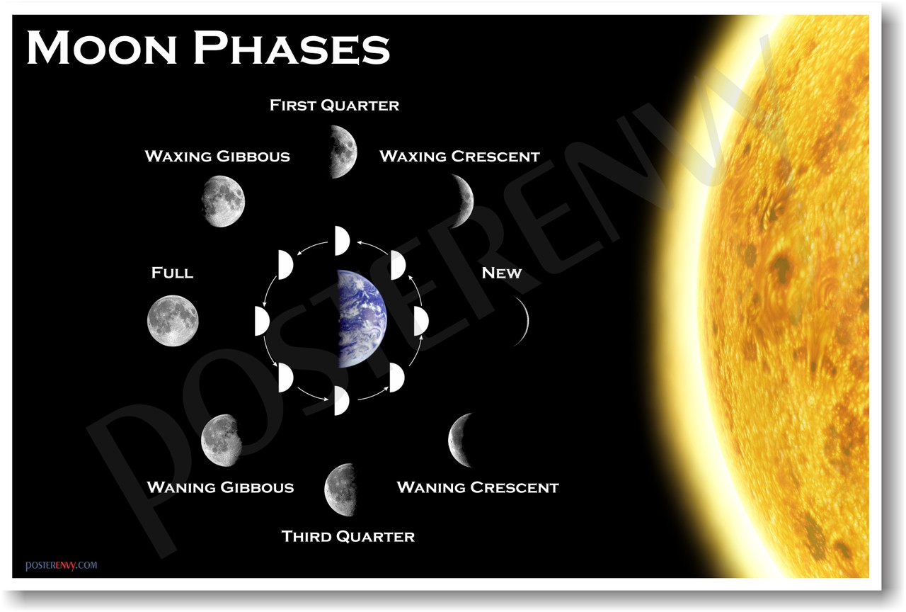 Moon Phases Astronomy Science Classroom Poster (ms115)