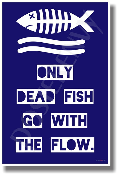 Only dead fish go with the flow wallpaper image
