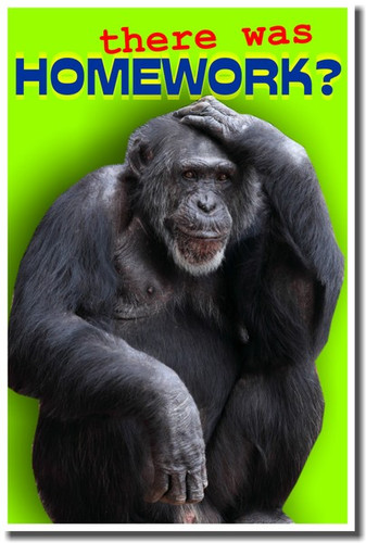 Homework for students image