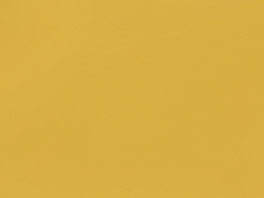 Katie's Mustard Color Sample