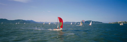 Sailboats in San Francisco Bay - Walls 360