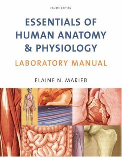 Essentials Of Human Anatomy And Physiology Laboratory Manual by Elaine