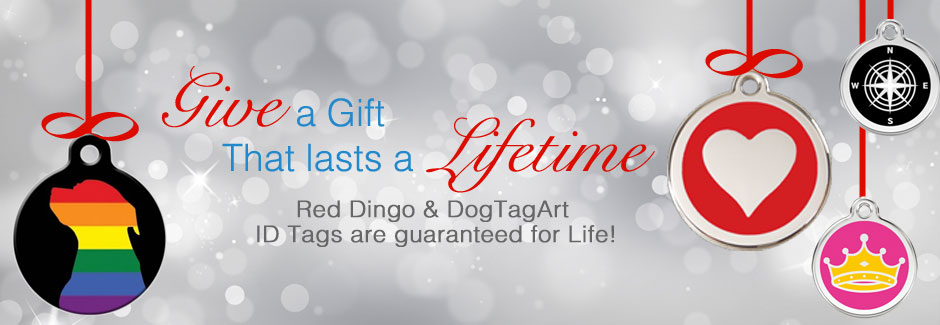 the artful canine coupon