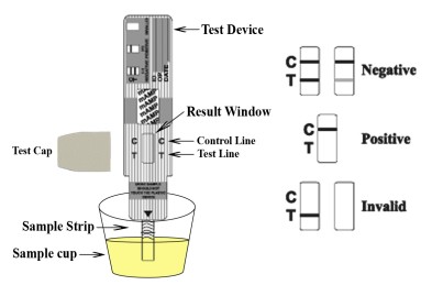 single-drug-test-procedure.jpg single-drug-test-procedure.jpg