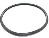 Onga PPP Pump Lid O-Ring - Genuine