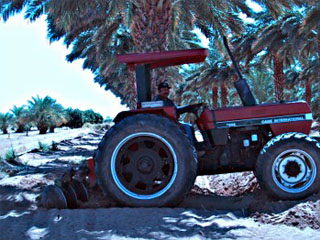 Tractor Pulling the Disker