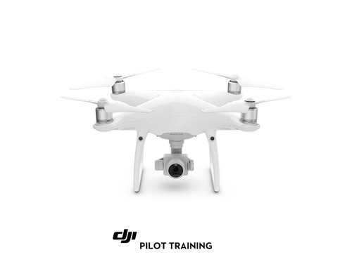 Phantom 4 Pro with Training