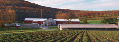 Pallman Farms Location