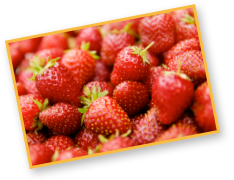 You-Pick Strawberries