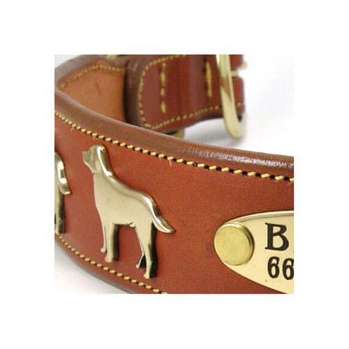 Dog Collar Large Breeds