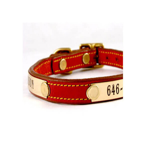 Tiny Dog Collar - 2 Nameplates