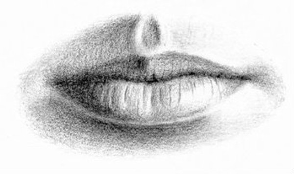 Clove Your Mouth | LIP BALM