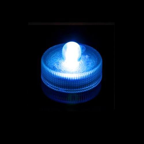 Box of 10 Acolyte Submersible Floralyte Blue