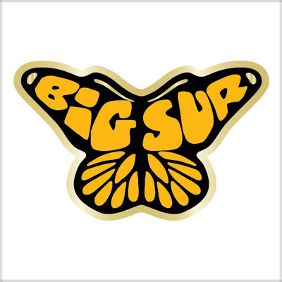 Butterfly pin