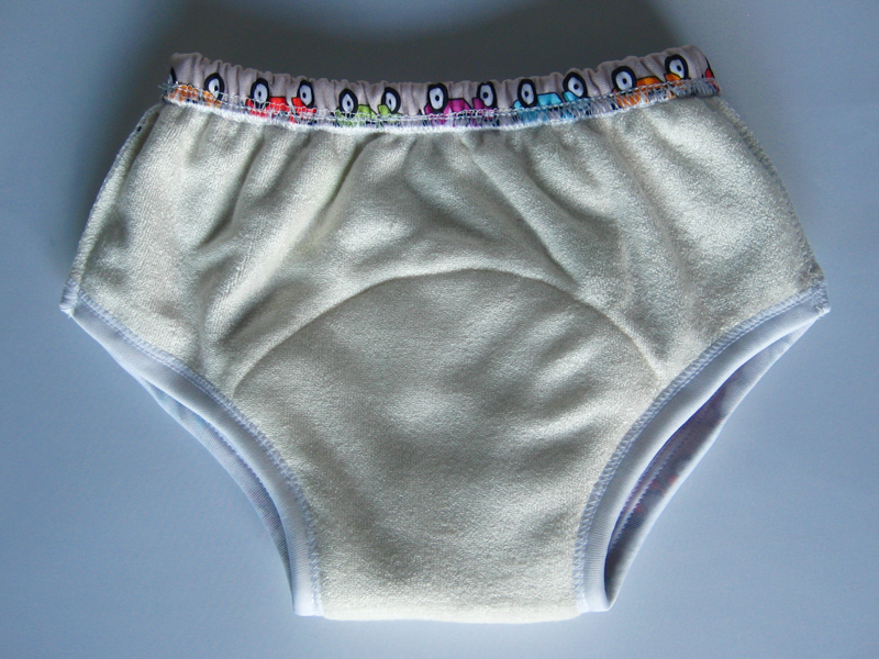 Review Potty Training Cloth Diapers ECOABLE