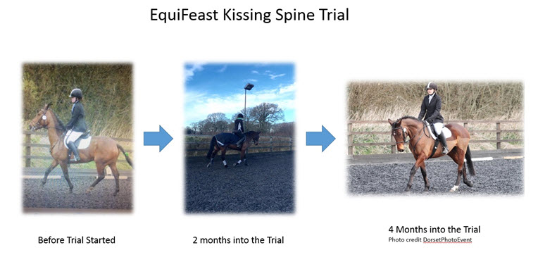 equifeast-kissing-spine-trial.jpg