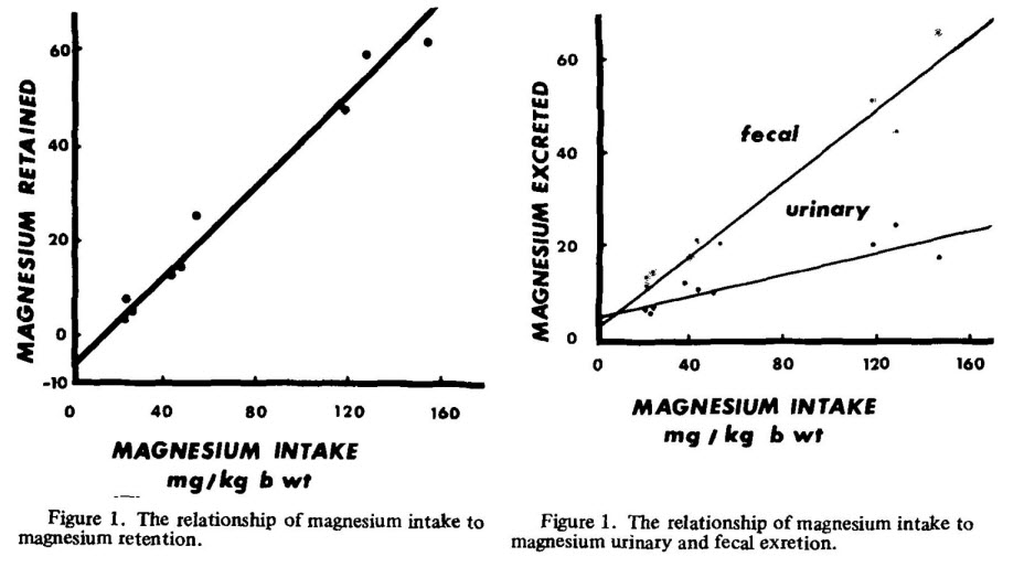 magnesium-intake-graph.jpg