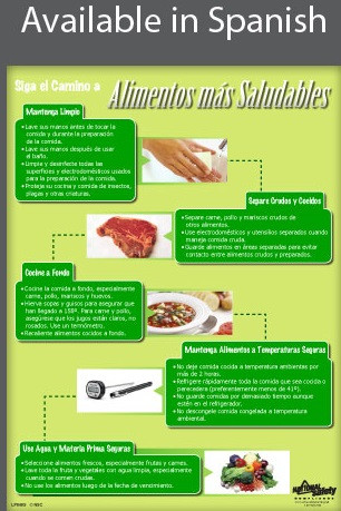 Safer Food Poster - SPANISH Safer Food Poster - SPANISH