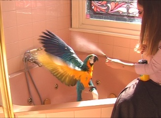 keikobath.jpg keikobath.jpg