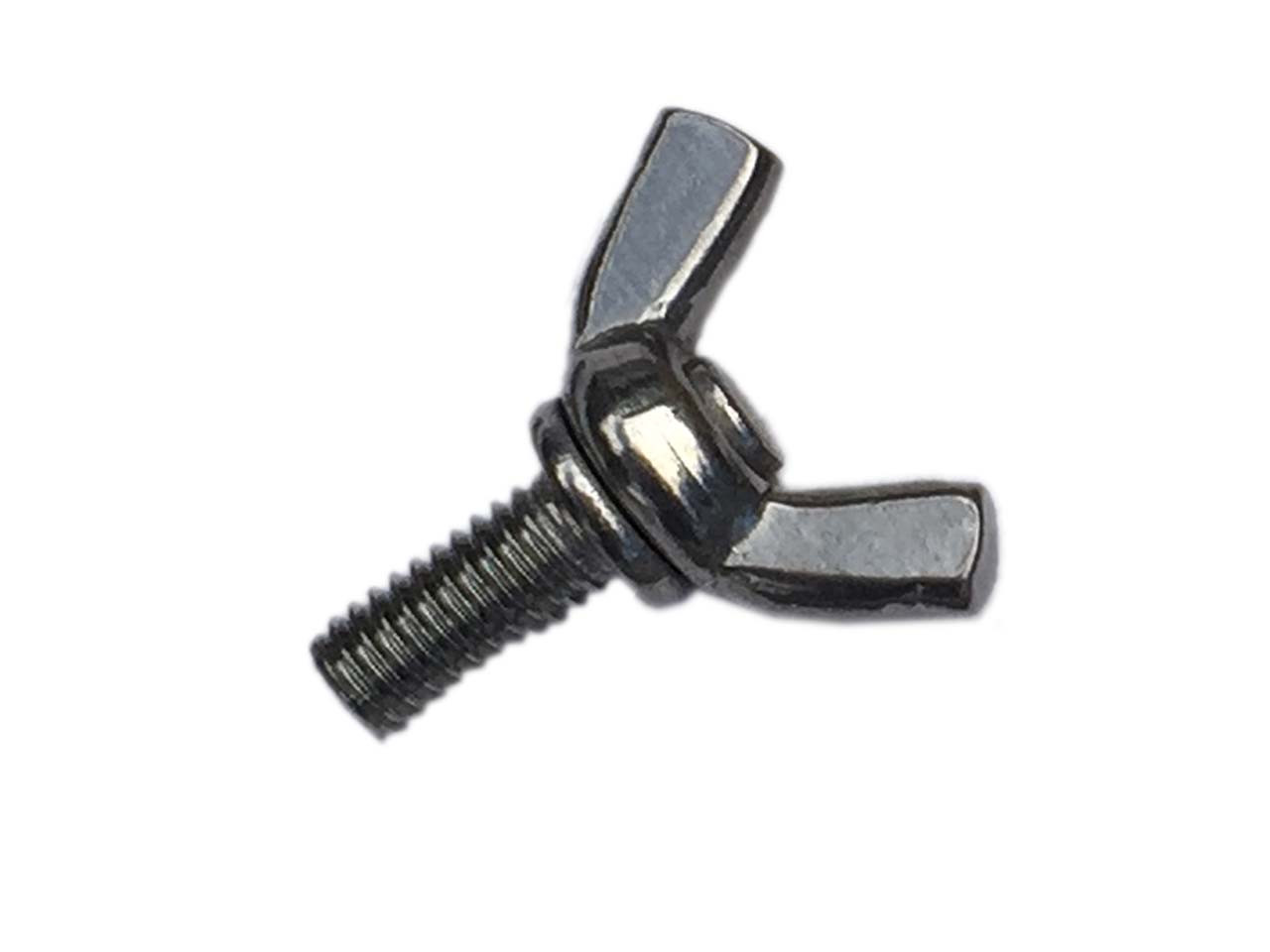 Stainless Steel Wing Screw M6 - My Parrot Shop